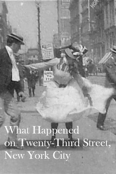 What Happened on Twenty-Third Street, New York City